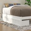 AFI, Set of 2 Extra Long Drawers Queen/King/Twin XL, White view 3