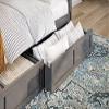 AFI, Bed Drawer Set of 2 Twin/Full, Grey view 2