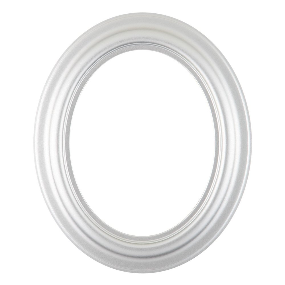ArtToFrames 14x17 Inch 450 Oval Frame Silver Spray Comes with Oval Flat Glass, Oval Frame Back and Wall Hanging Hardware (450A1417SS)