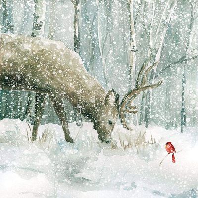 Winter Forest Friends by Carol Robinson - 16x16 Art Print Poster