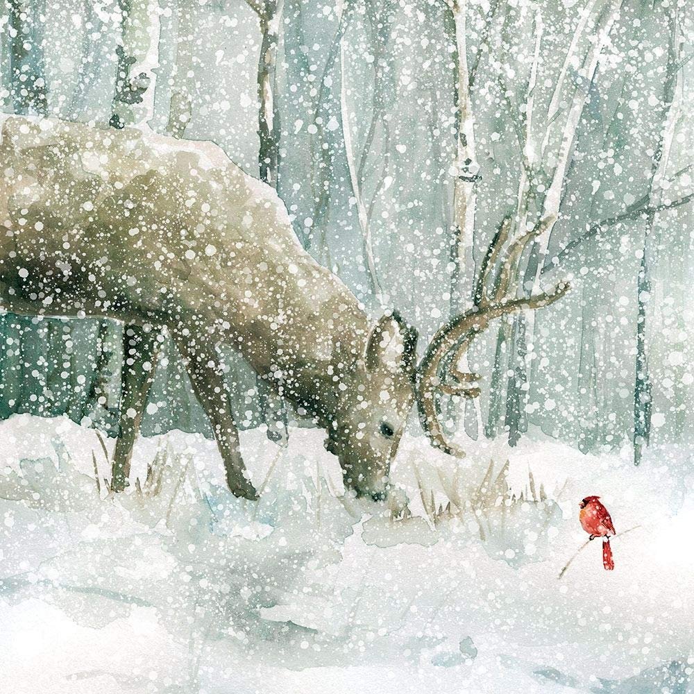 Winter Forest Friends by Carol Robinson - 16x16 Art Print Poster