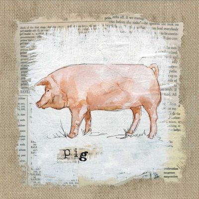 ArtExpert Burlap Pig by Carol Robinson - 16x16 Art Print Poster