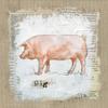 ArtExpert Burlap Pig by Carol Robinson - 16x16 Art Print Poster view 1