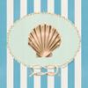Naughtical And Nice Sea Shell by Danielle Murray - 16x16 Art Print Poster view 1