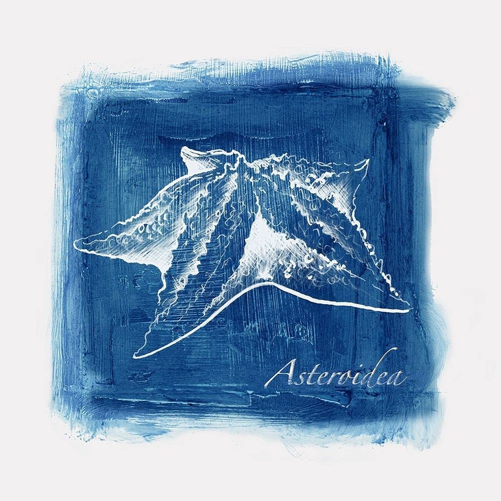 ArtExpert Calm Blue Ocean Ii by Eva Watts - 16x16 Art Print Poster