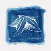 ArtExpert Calm Blue Ocean Ii by Eva Watts - 16x16 Art Print Poster view 1