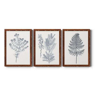 Wall Art, Home Dcor, Lifestyle, Travel, Cottage, French Country, Mission, Architecture, Maple Barnwood Framed Canvas, 3 Piece Set, Indigo Botany Study VI 17X20