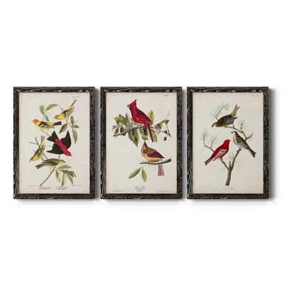 Wall Dcor, Dining Wall Art, Neutral, MultiColor, Bohemian, Country, Casual, Nautical, Black Barnwood Framed Canvas, 3 Piece Set, Pl 354 Louisiana Tanager 31X43