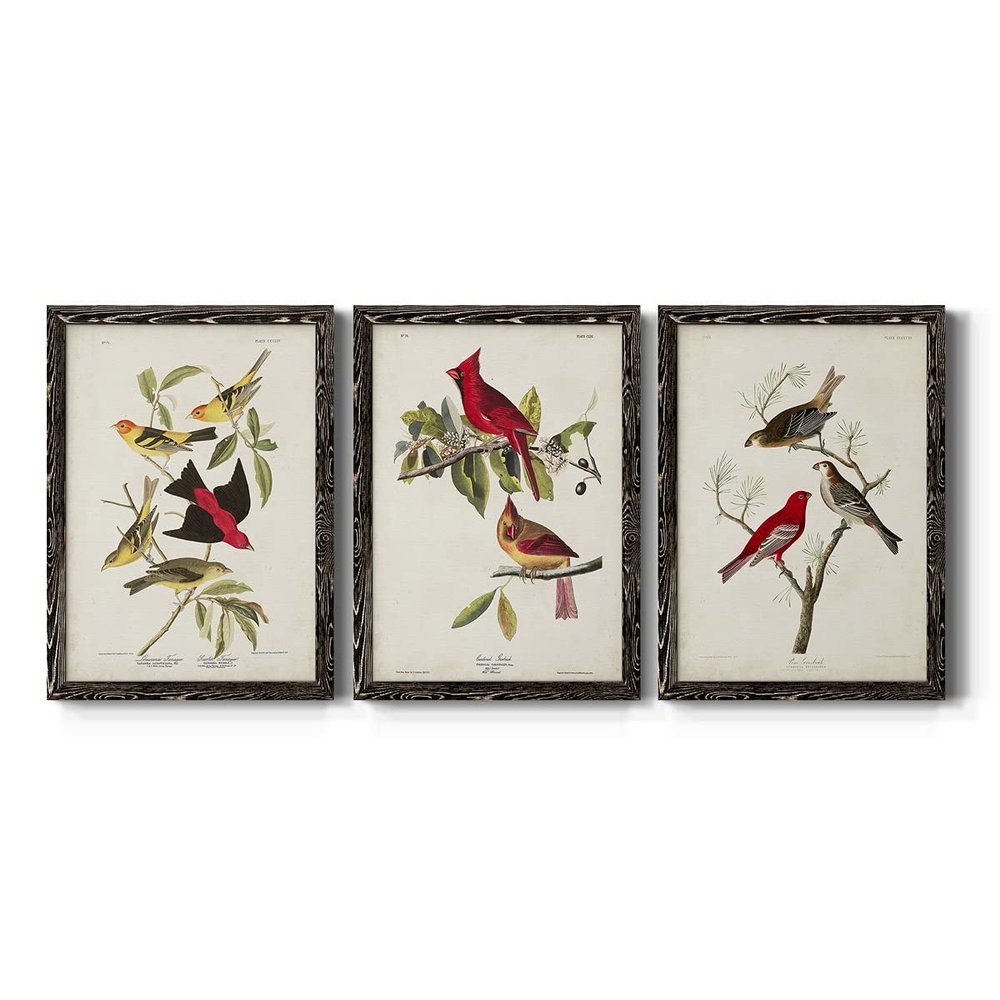 Wall Dcor, Dining Wall Art, Neutral, MultiColor, Bohemian, Country, Casual, Nautical, Black Barnwood Framed Canvas, 3 Piece Set, Pl 354 Louisiana Tanager 31X43