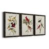 Wall Dcor, Dining Wall Art, Neutral, MultiColor, Bohemian, Country, Casual, Nautical, Black Barnwood Framed Canvas, 3 Piece Set, Pl 354 Louisiana Tanager 31X43 view 2
