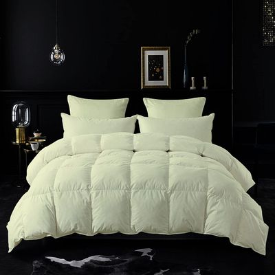 3 Piece Comforter Set Ivory Lightweight Down Alternative All Season Bed Comforter Quilted Duvet Insert with 500GSM Plush Cotton Fill Corner Tabs and Machine Washable Oversized Queen Size