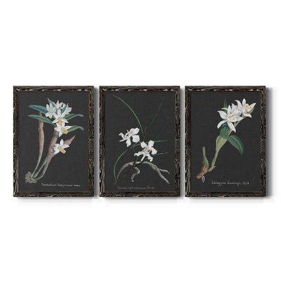 Wall Dcor, Dining Wall Art, Architecture, American, Trendy, Eclectic, Mission, Architecture, Black Barnwood Framed Canvas, 3 Piece Set, Orchid on Slate I 31X43
