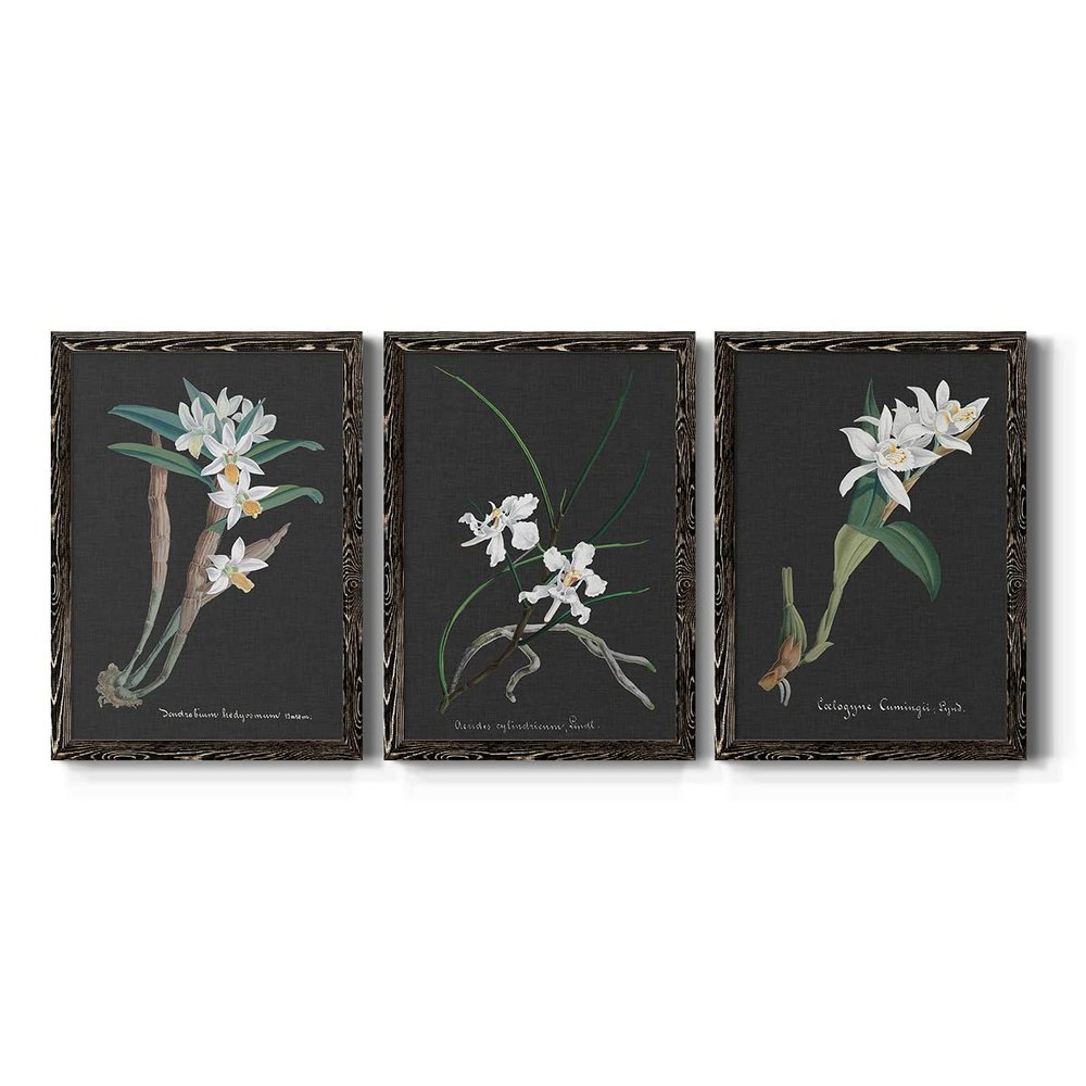 Wall Dcor, Dining Wall Art, Architecture, American, Trendy, Eclectic, Mission, Architecture, Black Barnwood Framed Canvas, 3 Piece Set, Orchid on Slate I 31X43