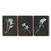Wall Dcor, Dining Wall Art, Architecture, American, Trendy, Eclectic, Mission, Architecture, Black Barnwood Framed Canvas, 3 Piece Set, Orchid on Slate I 31X43 view 1