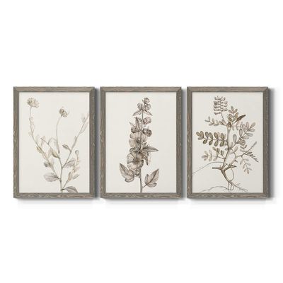 Wall Dcor, Bathroom Wall Art, Lifestyle, Travel, Modern, Traditional, French Country, Lifestyle, Grey Barnwood Framed Canvas, 3 Piece Set, Neutral Botanical Study IV 31X43