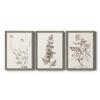 Wall Dcor, Bathroom Wall Art, Lifestyle, Travel, Modern, Traditional, French Country, Lifestyle, Grey Barnwood Framed Canvas, 3 Piece Set, Neutral Botanical Study IV 31X43 view 1