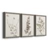 Wall Dcor, Bathroom Wall Art, Lifestyle, Travel, Modern, Traditional, French Country, Lifestyle, Grey Barnwood Framed Canvas, 3 Piece Set, Neutral Botanical Study IV 31X43 view 2