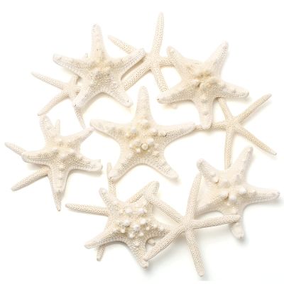 UEIEU 12 PCS Starfish Decor | 2.5-6 Inch Starfish Shells Perfect for Crafts Making Beach Theme Party Wedding Decoration, Home Wall Decor, Christmas Ornaments, Fish Tank
