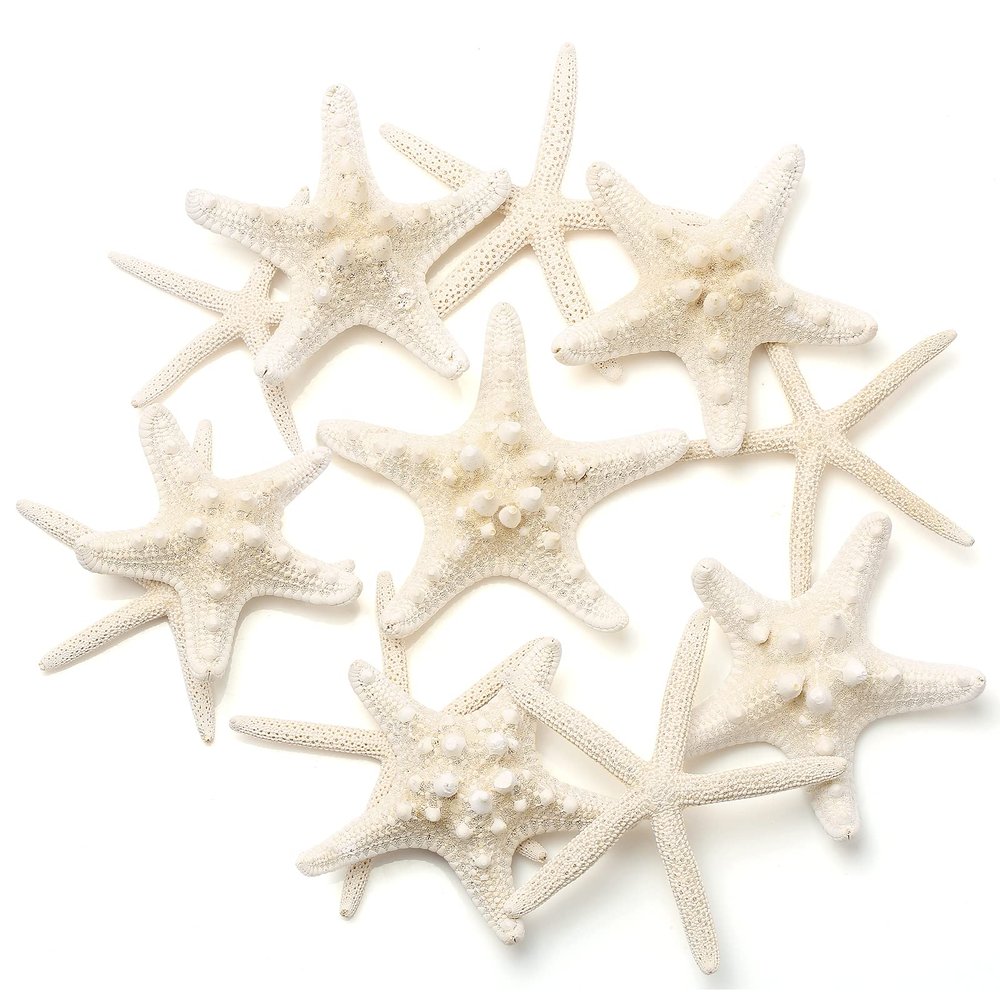 UEIEU 12 PCS Starfish Decor | 2.5-6 Inch Starfish Shells Perfect for Crafts Making Beach Theme Party Wedding Decoration, Home Wall Decor, Christmas Ornaments, Fish Tank