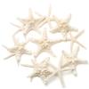 UEIEU 12 PCS Starfish Decor | 2.5-6 Inch Starfish Shells Perfect for Crafts Making Beach Theme Party Wedding Decoration, Home Wall Decor, Christmas Ornaments, Fish Tank view 1