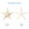 UEIEU 12 PCS Starfish Decor | 2.5-6 Inch Starfish Shells Perfect for Crafts Making Beach Theme Party Wedding Decoration, Home Wall Decor, Christmas Ornaments, Fish Tank view 2