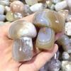 1pc Hand Carved Natural Snowflake Agate Cherry Blossom Agate Mushroom Shaped for Gift view 3