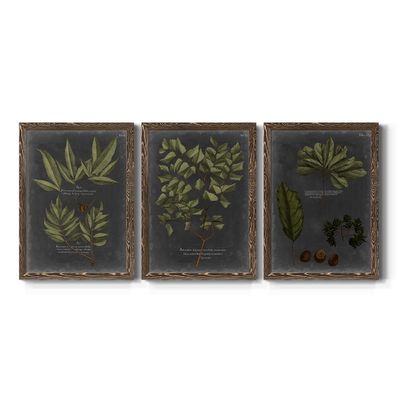 Wall Art, Kitchen Dcor, Beach, Nautical, Cape Cod, Colonial, Lodge, Geometric, Walnut Barnwood Framed Canvas, 3 Piece Set, Foliage Dramatique IV 31X43