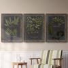 Wall Art, Kitchen Dcor, Beach, Nautical, Cape Cod, Colonial, Lodge, Geometric, Walnut Barnwood Framed Canvas, 3 Piece Set, Foliage Dramatique IV 31X43 view 4