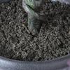 National Tree Company Black Oak Tree, Includes Black Urn Base, Halloween Collection, 4 Feet view 3