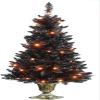 4 ft. Black Entrance Tree with String of Orange Lights view 1