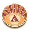 40 Year AA Medallion, I Stood in The Sunlight, Orange & Yellow Chip, Token, Coin view 1