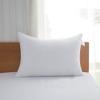 Acanva Hotel Quality Bed Pillows for Sleeping,Premium 3D Plush Fiber- Reduces Neck Pain,Breathable Cooling Cover Skin-Friendly,King 20x36-1P,White view 1