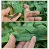 Pxzybd Camouflage Net,Oxford Cloth,Forest Landscape Camo Netting,Sun Protection/Privacy Protection,Camouflage Netting Hunting,Shade Net,2m 3m 4m 5m 6m 7m 8m 10m,jungle-4x8m(13.1 * 26.2ft) view 2