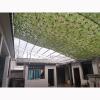 Pxzybd Camouflage Net,Oxford Cloth,Forest Landscape Camo Netting,Sun Protection/Privacy Protection,Camouflage Netting Hunting,Shade Net,2m 3m 4m 5m 6m 7m 8m 10m,jungle-4x8m(13.1 * 26.2ft) view 3