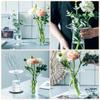 1pc Transparent Glass Vase Simple Flower Holder for Home Office Decoration for Fresh Flowers Design Modern Decor for Living Room Balcony view 4