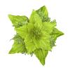 Babody Glitter Christmas Poinsettia Flowers, 8Pcs Artificial Flowers Christmas Flowers Faux Poinsettia DIY Flower Centerpiece Arrangement for Christmas Tree Wreaths Holiday Decor (Green) view 4