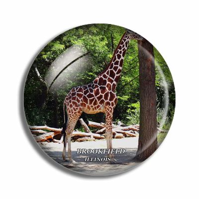 Crystal Fridge Magnets Brookfield Illinois USA Travel Souvenir Funny Sticker for Gift Home Decoration Office Whiteboard