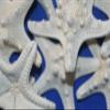 40 Quality Inspected Large Knobby Starfish No Broken Points, No Smell, Quantity Priced, SS-79 view 1