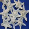 40 Quality Inspected Large Knobby Starfish No Broken Points, No Smell, Quantity Priced, SS-79 view 2