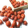 Natural Polished red Jasper Quartz Palm Crystal Healing for Garden Decoration 200g 17-22mm view 4