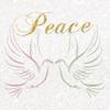 ArtExpert Peaceful Doves by Lauren Gibbons - 16x16 Art Print Poster view 1