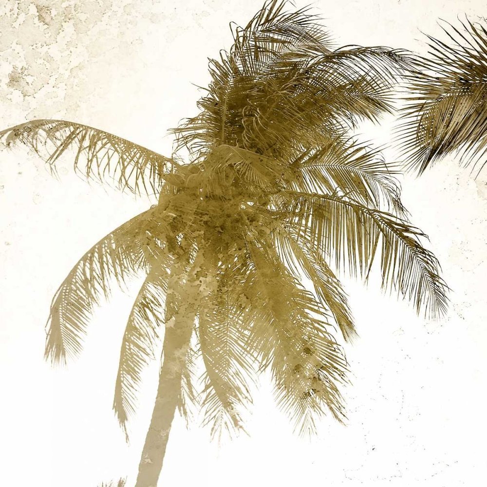 ArtExpert Bright Palm Gold 1 by Kimberly Allen - 16x16 Art Print Poster
