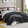 Andency Queen Quilt Set Black and White, 3 Pieces Grey Striped Ultra Soft Summer Lightweight Bedspreads& Coverlets Set, Patchwork Quilted Bedding Sets for All Seasons (90"x96") view 2