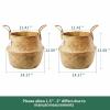 2 Pack Hand Woven Seagrass Plant Basket for Succulents,Boho Belly Plant Basket Home Storage Basket Extra Large Woven Straw Beach Bag Seagrass Flower Plant Container Modern Home Decor(Brown) view 3