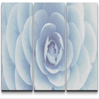 SIGNLEADER Canvas Print Wall Art Set Layered Blue Flower Interior Botanical Flower Photography Realism Contemporary Closeup Edgy Multicolor Pastel for Living Room, Bedroom, Office - 24"x36" x 3