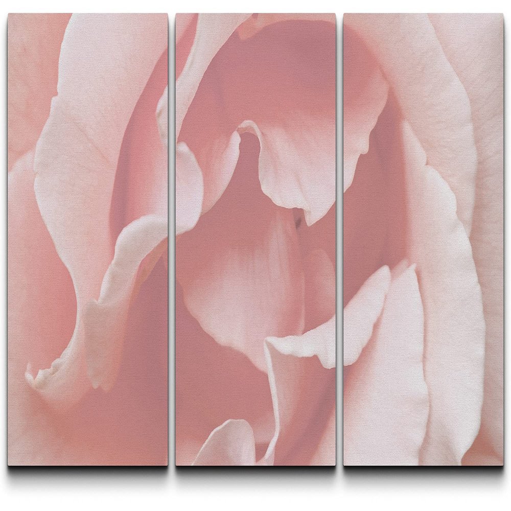 SIGNLEADER Canvas Print Wall Art Set Extreme View of Pink Carnation Botanical Flower Photography Realism Contemporary Closeup Edgy Multicolor Pastel for Living Room, Bedroom, Office - 24"x36" x 3