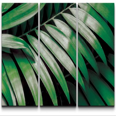 SIGNLEADER Canvas Print Wall Art Set Glossy Jungle Palm Leaf Botanical Wilderness Photography Modern Art Contemporary Portrait Colorful Multicolor for Living Room, Bedroom, Office - 24"x36" x 3