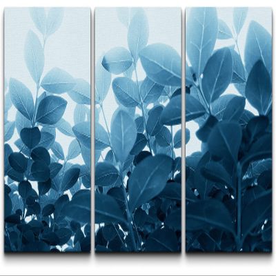 SIGNLEADER Canvas Print Wall Art Set Royal Fern Illuminated by Light Botanical Wilderness Photography Modern Art Contemporary Colorful Multicolor for Living Room, Bedroom, Office - 24"x36" x 3