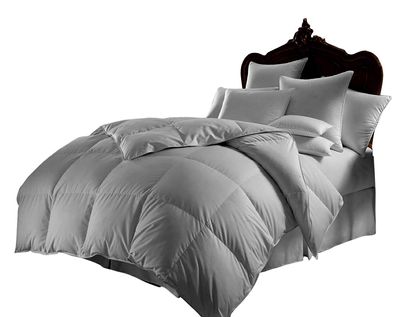 Kanak Bedding Down Alternative Comforter, All Season Comforter - Plush 300GSM Microfiber Duvet Insert - Box Stitched, Size-Twin XL (85"X90") Colour Silver Grey