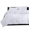 Kanak Bedding Down Alternative Comforter, All Season Comforter - Plush 300GSM Microfiber Duvet Insert - Box Stitched, Size-Twin XL (85"X90") Colour Silver Grey view 3